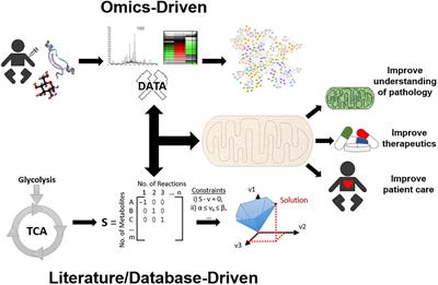 Systems Biology Approaches Toward Understanding Primary Mitochondrial Diseases